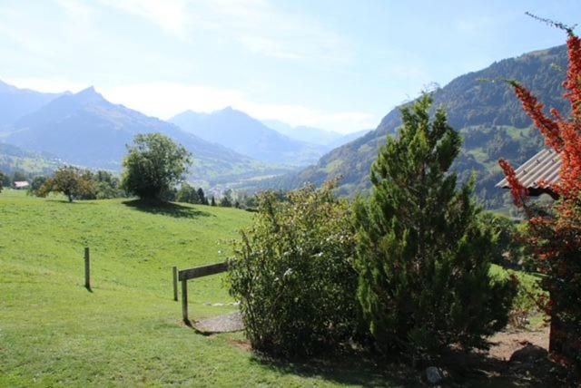 Bergblick Lodge - 3 Sterne Garni - Neueroffnung Aeschi Bei Spiez Exterior foto