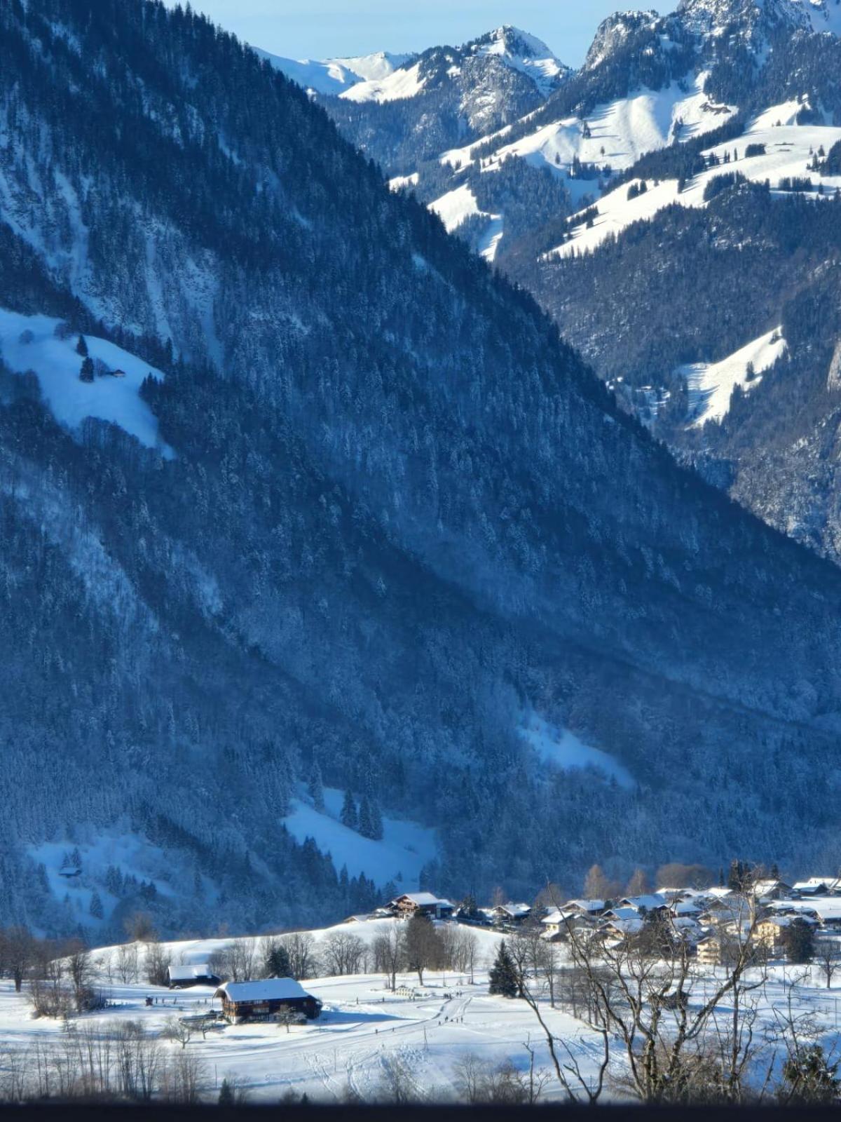 Bergblick Lodge - 3 Sterne Garni - Neueroeffnung Aeschi Bei Spiez Exterior foto