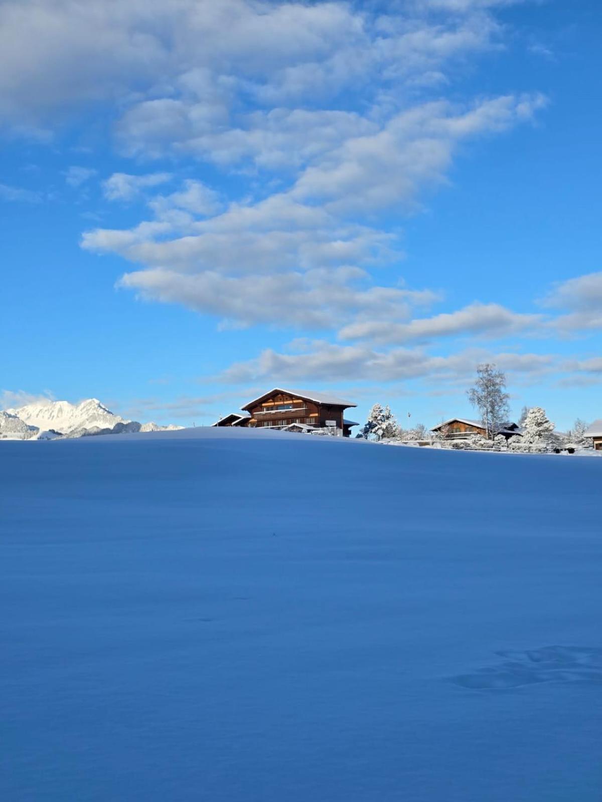Bergblick Lodge - 3 Sterne Garni - Neueroeffnung Aeschi Bei Spiez Exterior foto